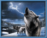 Picture for song 'Rythmn of the Wilderness' by artist 'Josiah Barlow'