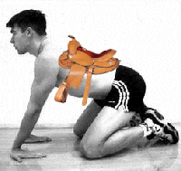 Picture for song 'The Cowboy Song' by artist 'Jozie Pop'