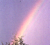 Picture for song 'End of the Rainbow(Ft. Alexipharmic)' by artist 'JS Free'