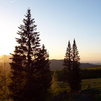 Picture for song 'Only By Shadows' by artist 'jswatts'