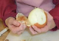 Picture for song 'Canned Onions' by artist 'JT and the Blame'