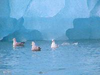 Picture for song 'Sexton Sister Sadness' by artist 'JT and the Blame'