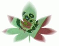 Picture for song 'Takin' It Old School ( He's Back)' by artist 'Junior The Genius'