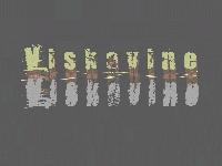 Picture for song 'Counts The Kills' by artist 'Junk and Trash'