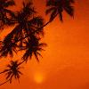 Picture for song 'East Coast Sunset' by artist 'JURNAA'