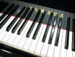 Picture for song 'Piano Mix' by artist 'Just Chill'