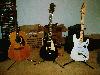 Picture for song 'Dying Spring ( Instrumental )' by artist 'Justin Shively'