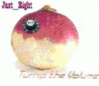 Picture for song 'Hoover the Speckled Hen' by artist 'Just Right'