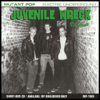 Picture for song 'WeAreAnExtremelySeriousAlternativeBand.com' by artist 'JuvenileWreck'