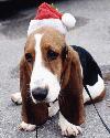 Picture for song 'Have Urself a Merry Little Christmas' by artist 'k4u'