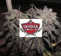 Picture for song 'Sticky-Filled Swishers' by artist 'Kadava'