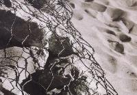 Picture for song 'rock & wire' by artist 'kage no kaya'