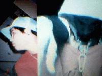 Picture for song 'Malamig na bangkay...' by artist 'kalahi'