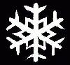 Picture for song 'Long Winter (Album Mix)' by artist 'KalteKult'