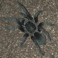 Picture for song 'Backroads' by artist 'Kander'