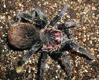 Picture for song 'Cliffs are beautiful' by artist 'Kander'