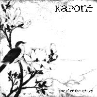 Picture for song 'Led By the Blind' by artist 'kapone (band)'