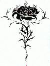 Picture for song 'The 1' by artist 'Karleigh aka K LOVE'