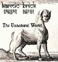 Picture for song 'Walking In My Mind (w/ Vicki Garino)' by artist 'Karmic Brick'