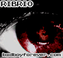 cover pic