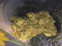 Picture for song 'Creepy Towers - katalist 2003' by artist 'Katalist'