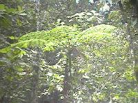 Picture for song 'Y.O.U Instrumental - Katalist 2002' by artist 'Katalist'