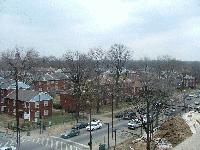 Picture for song 'pimpin-ol skool shyt' by artist 'Katastrophe Thee Poster Girl'