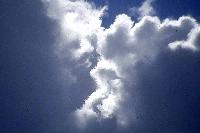 Picture for song 'Never Ending Love' by artist 'Kathy Cane'