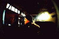 Picture for song 'roots' by artist 'katzenstreik'