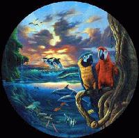 Picture for song 'Paradie' by artist 'kautious beats'