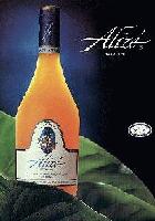 Picture for song 'Thats Why' by artist 'K Beats Entertainment'