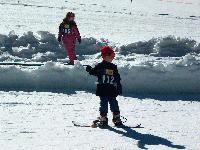 Picture for song 'Rare Species' by artist 'KDoggyDawg'