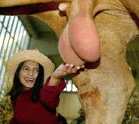 Picture for song 'chedder express jack move' by artist 'Keef Danken'