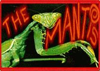 Picture for song 'Kill the hippies_ Kid Kisser live at the mantis' by artist 'Kent ohio punk rock'