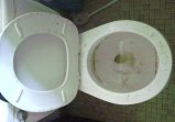 Picture for song 'Vs Wizdumb *flush twice*' by artist 'Kernal Krunk'