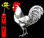 Picture for song 'Shanghai Chicken Durge' by artist 'Kevin Sage'