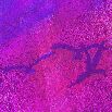 Picture for song 'Awakening, Harmony & Color' by artist 'Kevin Timm'