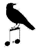Picture for song 'Bluesette' by artist 'Kevin Van Sant'