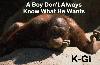 Picture for song 'A Boy Don't Always Know What He Wants' by artist 'K-Gi'