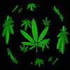 Picture for song 'Weed Man' by artist 'Khalfani'