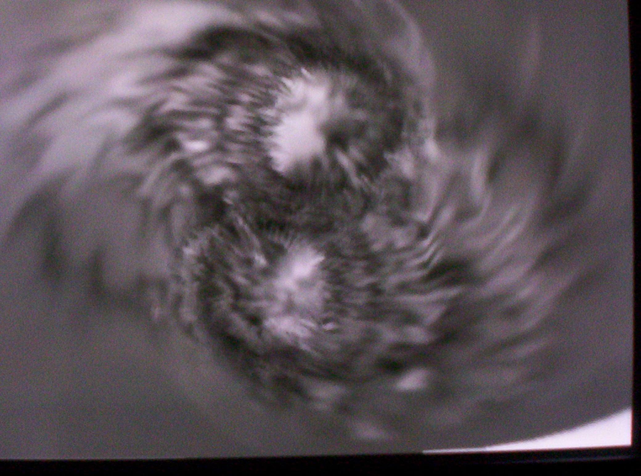 Picture for song 'creep' by artist 'khamillieon the Teflon Don'