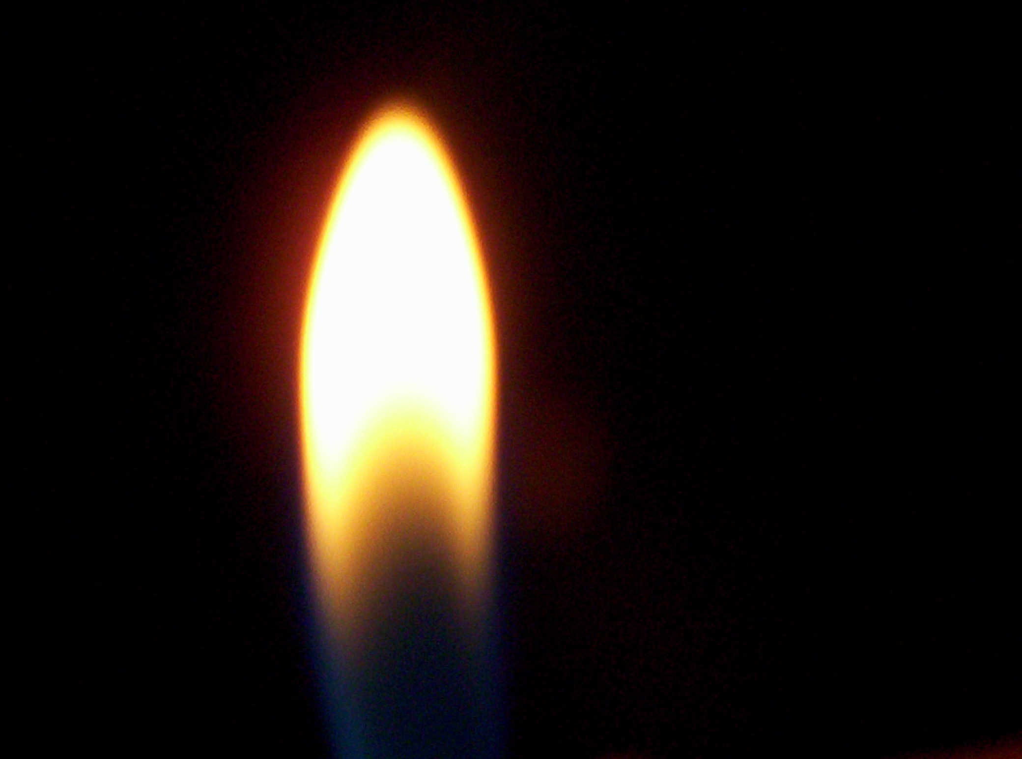 Picture for song 'don da da' by artist 'khamillieon the Teflon Don'