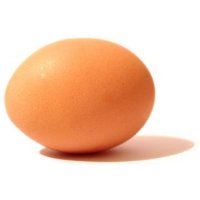 Picture for song 'Girls' by artist 'Khate'