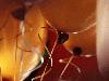 Picture for song 'Yeu em am tham' by artist 'Khoa'