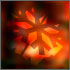 Picture for song 'King Seven - Walking Home (36 Black Notes)' by artist 'KidVector'
