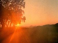 Picture for song 'Sunshine' by artist 'kid wilco'