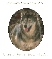 Picture for song 'The Imposter' by artist 'KilgoreStevenson'