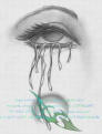 Picture for song 'No Cares No Tears by Wyle Bill' by artist 'KillaRay'