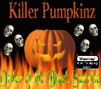 Picture for song 'Underground Aftermath' by artist 'Killer Pumpkinz'