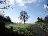 Picture for song 'The End is not Now' by artist 'Kilty's Linn'